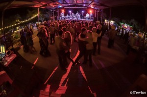 The Roundup - Bellamy Brothers 2017 - Best Texas Music Venue